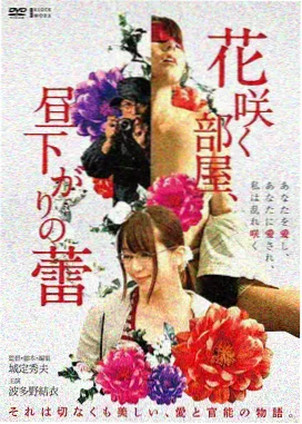 毛球大冒险